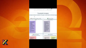 Утилита на все случаи жизни