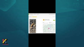 OSINT. Идентификация объектов флоры и фауны