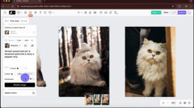 Recraft AI. Еще один инструмент для создания визуального контента