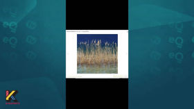 OSINT. Находим место съемки фотографии 