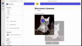 Anytype. Инструмент для управления данными, который может заменить Notion