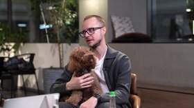 Искусственный интеллект для собак и почему Sora 2 опасна для человечества