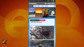 Идентификация природы. Часть 2 