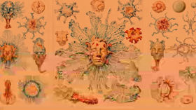 Искусство создания мира: проект «Маленькие марсиане»