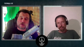 Теплица LIVE: нас спасут распределенные сервисы, self-hosted и open source. Или нет